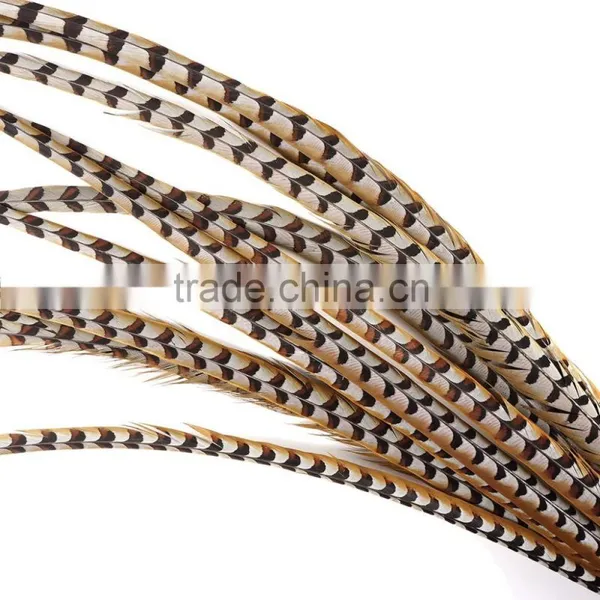 Factory Supply 100-110cm Natural Craft Reeves Pheasant Tail Feather photo-2
