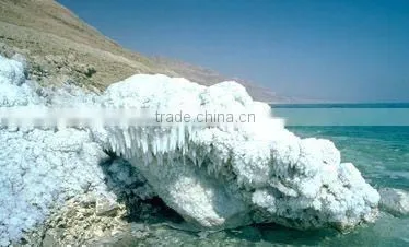 Dead Sea Healing Mud photo-2