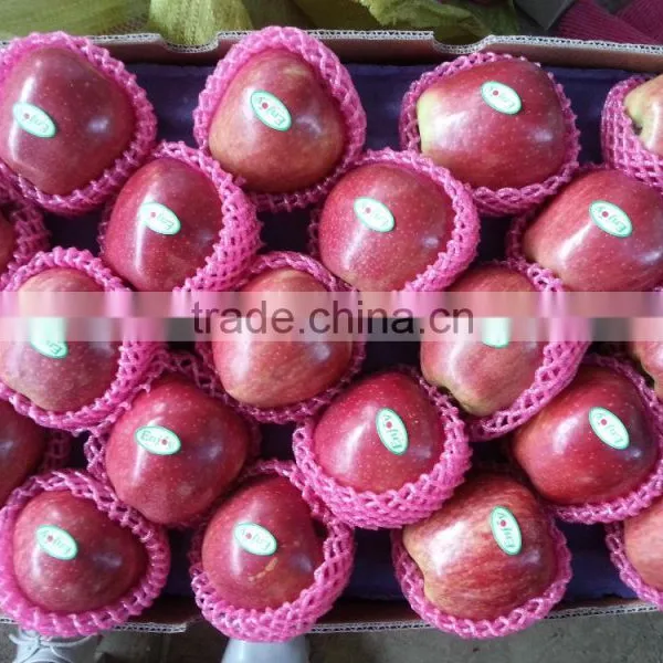 Huaniu Apples