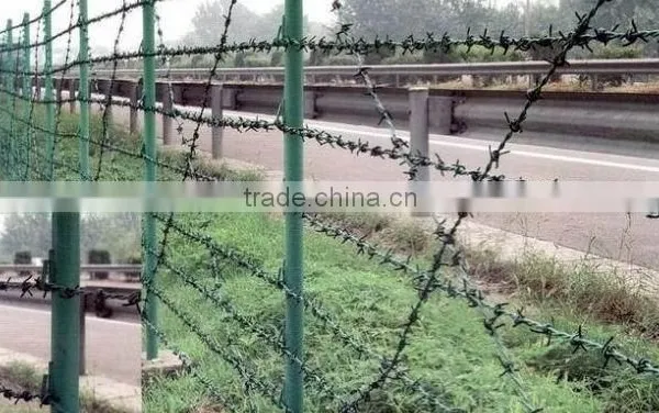 Hot Dipped Galvanized and Powder Coating Barbed Wire Hot Sale photo-3
