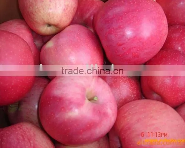 Big Qinguan Apple