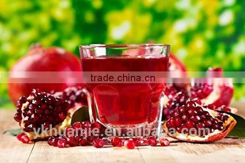 Pomegranate Juicer Commercial Grade Pomegranate and Citrus Manual Juice Press photo-3