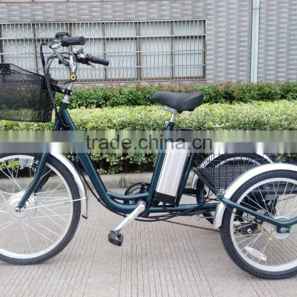3 Wheel Handicapped 250W Electric Tricycle for Adults photo-4