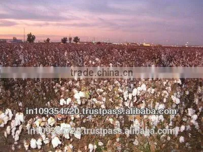 Amit Cotton Industries - INDIA photo-2