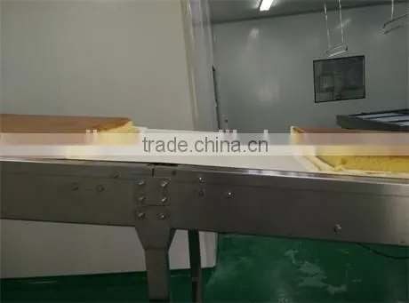 Thermal Radiant Type Wide Hearth Tunnel Oven for Nagasaki Cake photo-4
