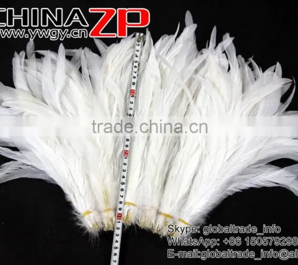 NO.1 Supplier ZPDECOR Best Selling Bleached White Fully Dyed Roosters Chicken Feathers photo-6