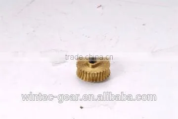 OEM Micro Worm Gear