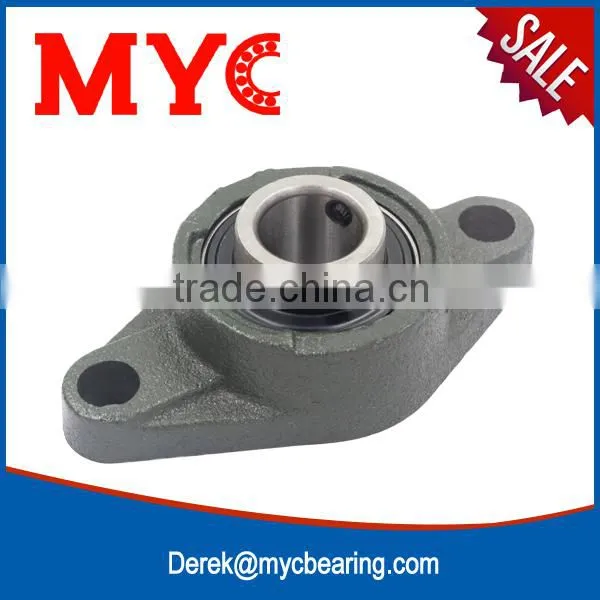 Hot Sale Plummer Block Housing Plastic Pillow Block Bearings photo-6