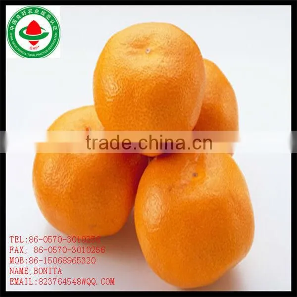 Chinese Orange Fresh Fruit