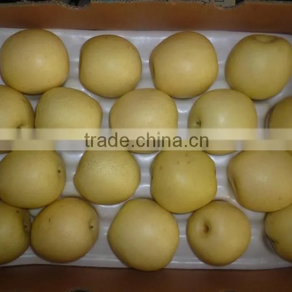 PEAR photo-3