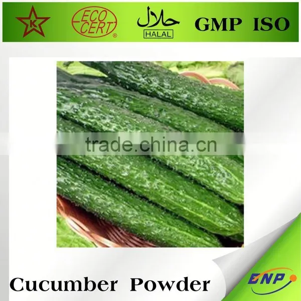 Natural Plant Extract Cucumber Extract