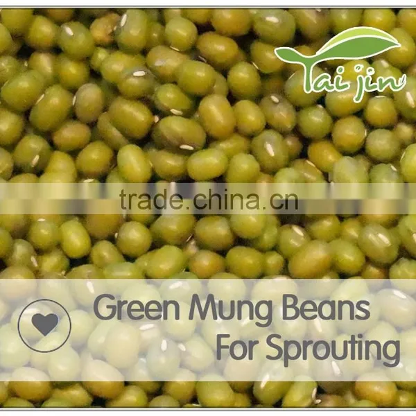 High Quality Green Mung Bean Sprout,grade a Green Mung Bean Price photo-2