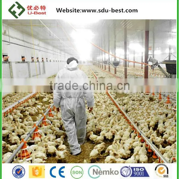 Hot Sale Broiler Breeder Chicken Poultry Breeding Houses photo-2