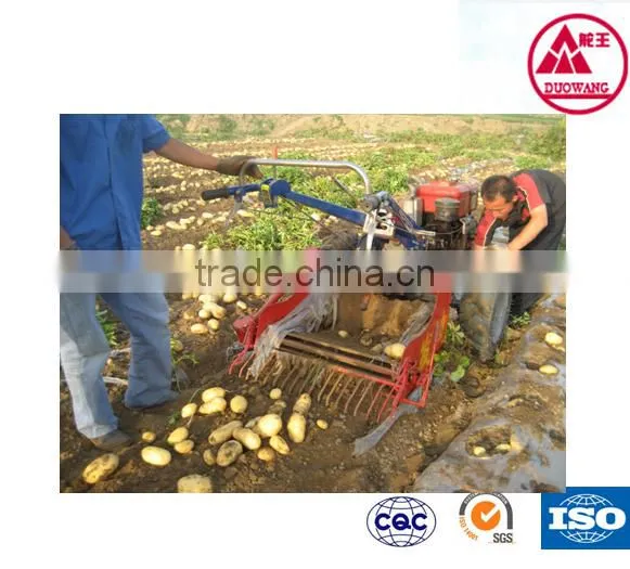 High Technology Greenhouse Equipment With Agricultural Irrigation Equipment