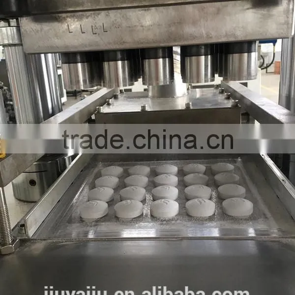100 Ton Powder Forming Mahcine for Sale photo-4