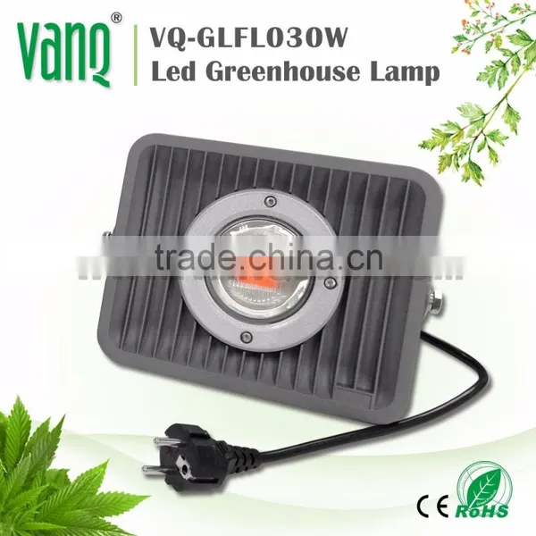 Led Cob Grow Light 30w Cob Led Epistar Chip Cob Full Spectrum 100 Watt Led Grow Light photo-2