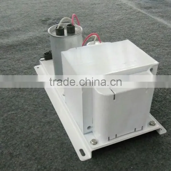 European Standard Hydroponic 600watt HPS MH Horticultural Lamp Used Open Model Grow Light Magnetic Ballast Without Outer Box photo-3