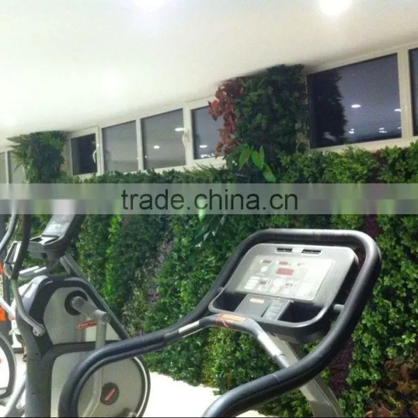 Artificial Green Wall for Gymnasium