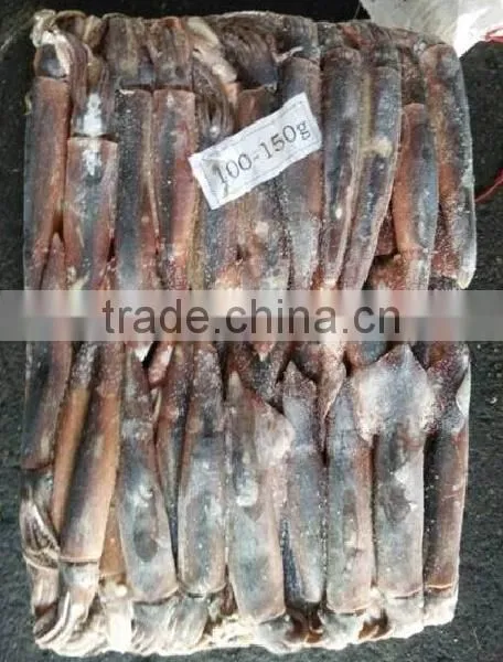 Tropical Fish Exporters of Illex Squid photo-2