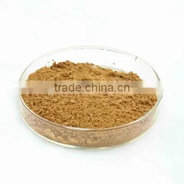 GMP Factory Ginkgo Biloba Extract 24/6 Yajiaotong Flavone 24% Lactones 6% Ginkgobiloba Capsule Ginkgo Biloba Tablet photo-2