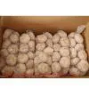 Normal White Garlic Packed in 1kg*10 in 10kg Carton