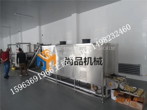 Automatic Fry Food Machinery for Potato Chips Making