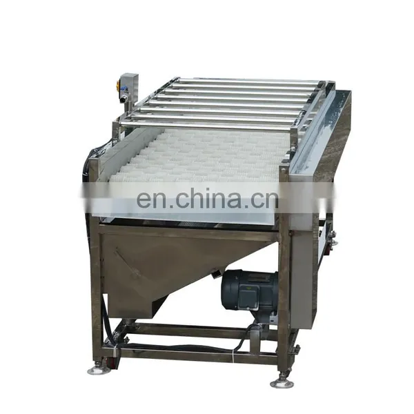 Commercial Sweet Potato Baby Carrot Tomato Onion Vegetable Orange Peach Apricot Blueberry Small Fruit Brush Washing Machine photo-6