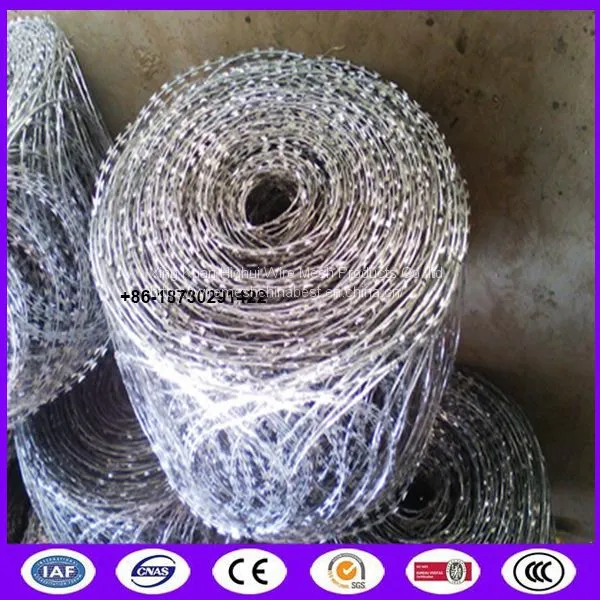 Standard Barb Wire Strip Flat Wrap Razor Wire / Razor Sharp Wire Barrier Fencing photo-4