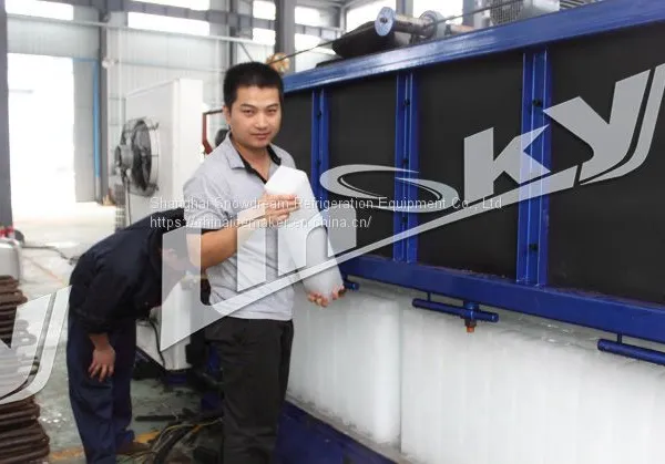 1000kg/24hr Block Ice Machine photo-4