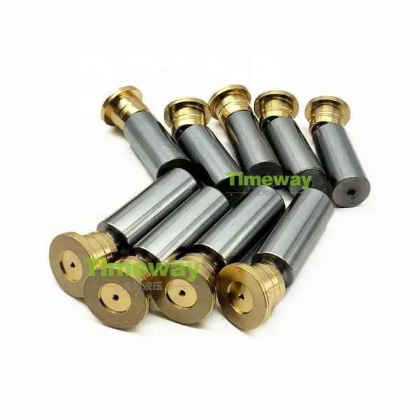 Hydraulic Pump Repair Kits H1P089 Piston Pump Rotary Group Kits for H1P089R H1P089L Sauer Axial Piston Pump Parts Rebuid Kits photo-4