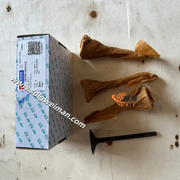 YUCHAI Intake Valve DK300-1003111A for YUCHAI Excavator photo-2