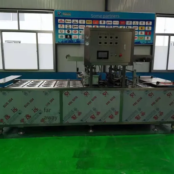 Vacuum Sealing Machine for Boxed Hairtail Blocks, Small Seafood Box-type Fresh-keeping Modified Atmosphere Packaging Machine photo-3