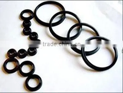 Door Gasket of Container photo-6