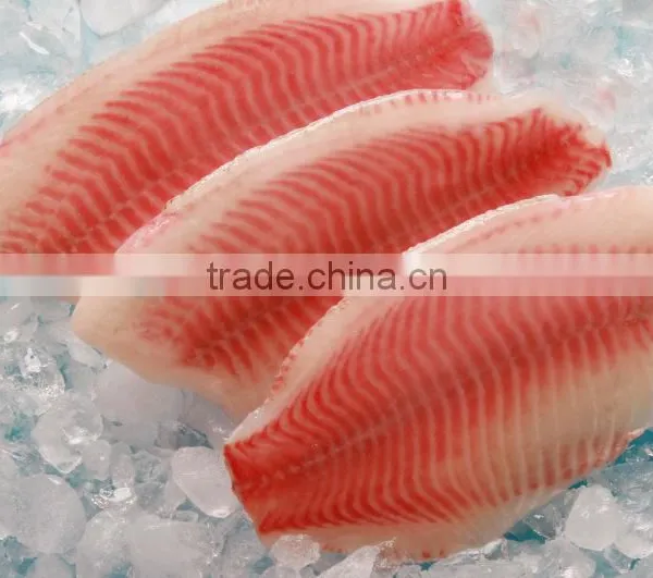 Frozen Tilapia Whole Round Fish photo-3