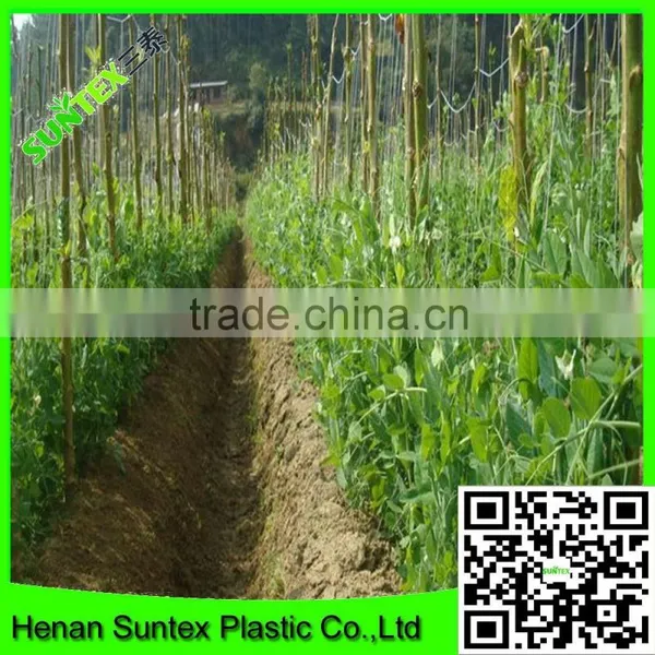 Support Peas Runner Beans & Sweet Peas Climbing Plant Support Mesh Net photo-5