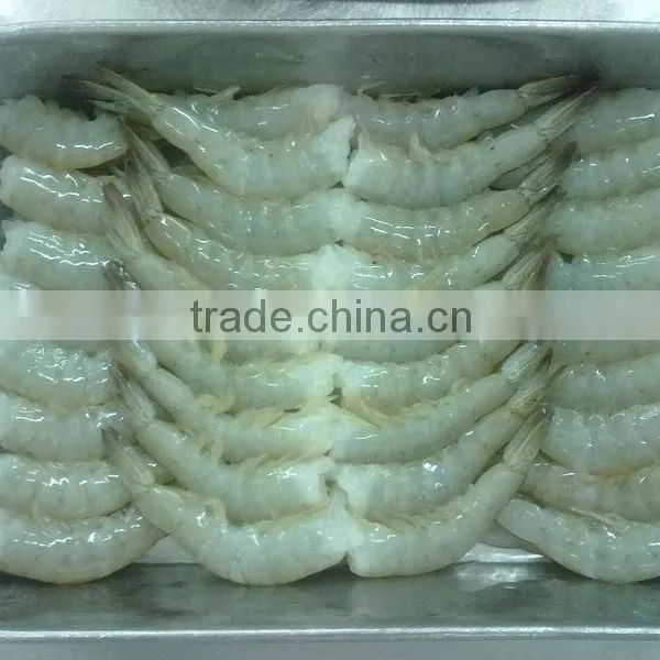 Vannamei Shrimp photo-5