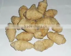 Textured Soya Protein Food Making Machine photo-4