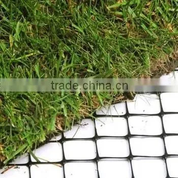 Grass Lawn Reinforcement Net for Green Traffic Areas photo-4