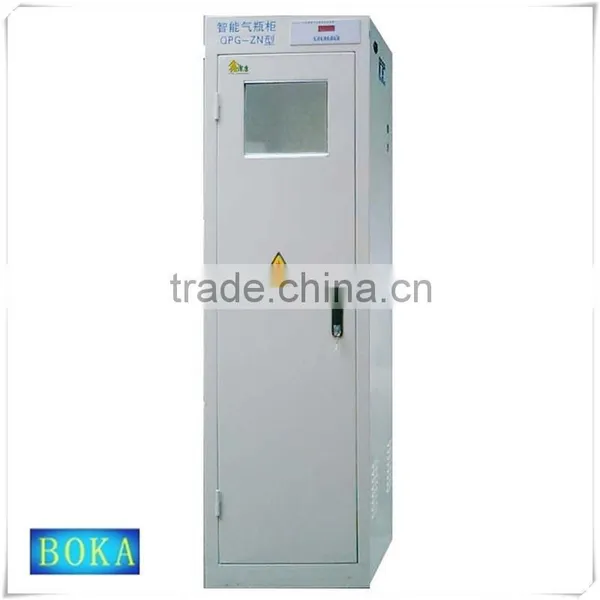 Safety Laboratory Steel Gas Cylinder Cabinet From Boka photo-4