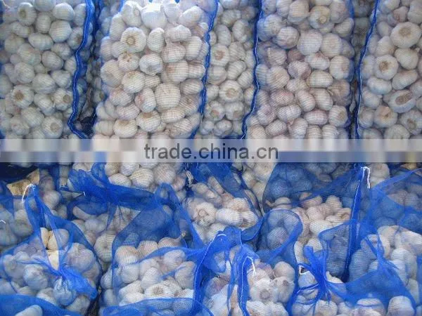 New Crops Fresh Garlic 4.5cm-6.0cm photo-4