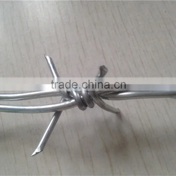 Hot Dipped Galvanized Weight of Barbed Wire Price per Roll/barbed Wire Price photo-4