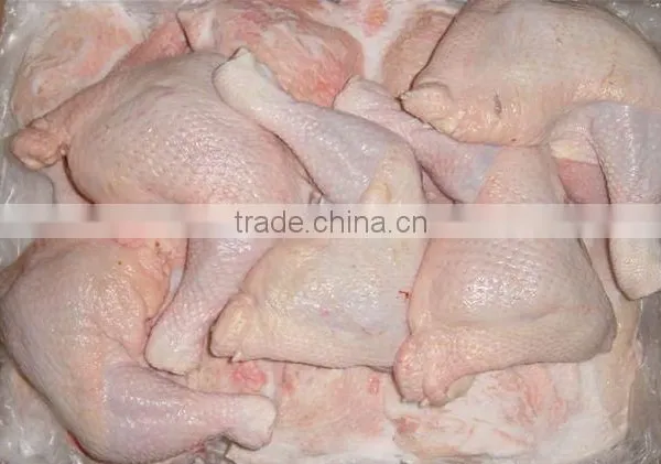 Quality Frozen Chicken Parts