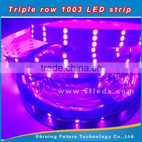 Decoration 5050 SMD 1003 ic Ouside Waterproof DC12V Addressable Triple Row Led Strip photo-4