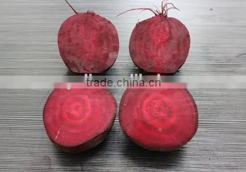 Canned Beetroot Sliced in Tin photo-6