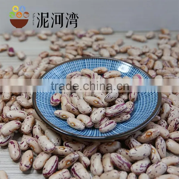 New CROP Light Speckled Kidney Bean 2016 Crop Hot Sale photo-4