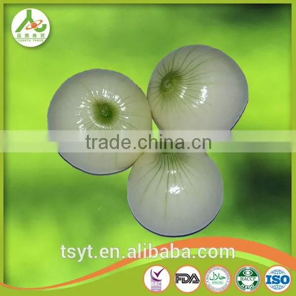 Fresh Red Onion From China photo-4