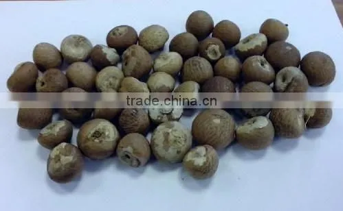 BETEL NUT photo-2