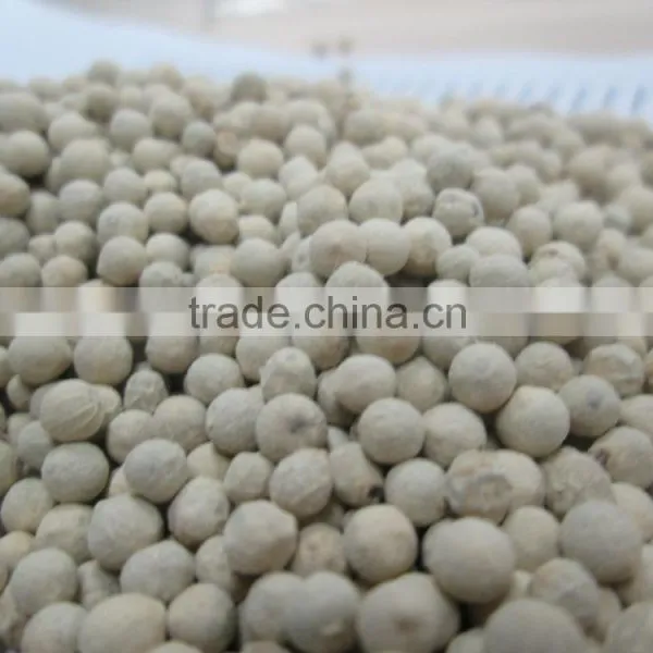 VIETNAM HIGH QUALITY WHITE PEPPER photo-6