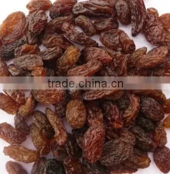GOOD QUALITY INDUSTRIAL RAISIN BEST RATE photo-5