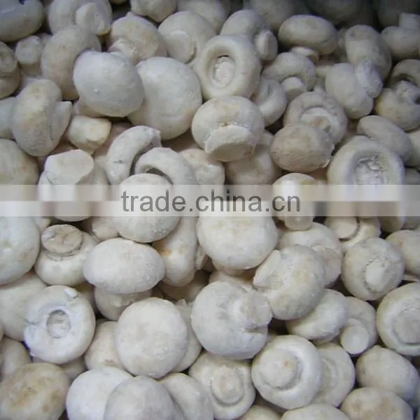 Greenhouse Advanced Production Cultivation Greenhouses for Mushroom photo-2